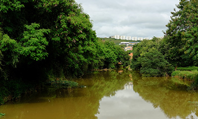 Resiliência Hídrica e Mudança Climática: O Compromisso da Copasa com o Futuro de Minas